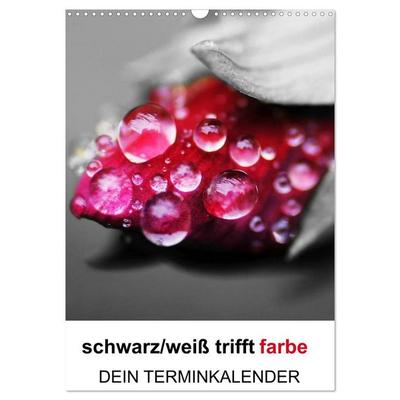 schwarz/weiß trifft farbe - DEIN TERMINKALENDER / Planer (Wandkalender 2027 DIN A3 hoch), CALVENDO Monatskalender