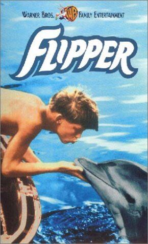 Flipper [VHS] - Preis vom 01.10.2026 08:16:52 h