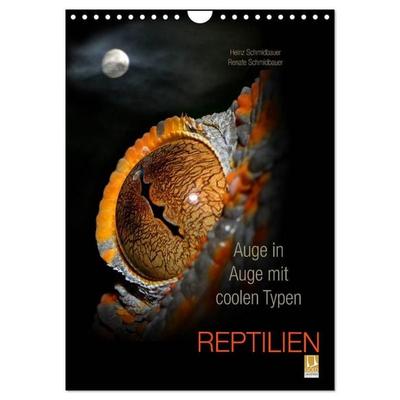 Auge in Auge mit coolen Typen - REPTILIEN (Wandkalender 2027 DIN A4 hoch), CALVENDO Monatskalender