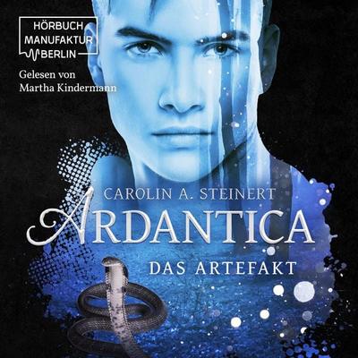 Das Artefakt - Carolin A. Steinert, Audio, 4251888722102