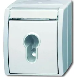 Busch-Jaeger Schlüsselschalter 2733 SLW-54