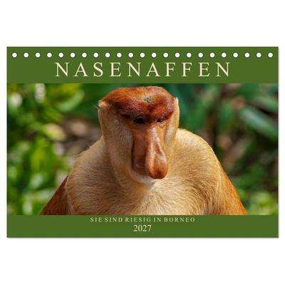 Nasenaffen von Borneo (Tischkalender 2027 DIN A5 quer), CALVENDO Monatskalender