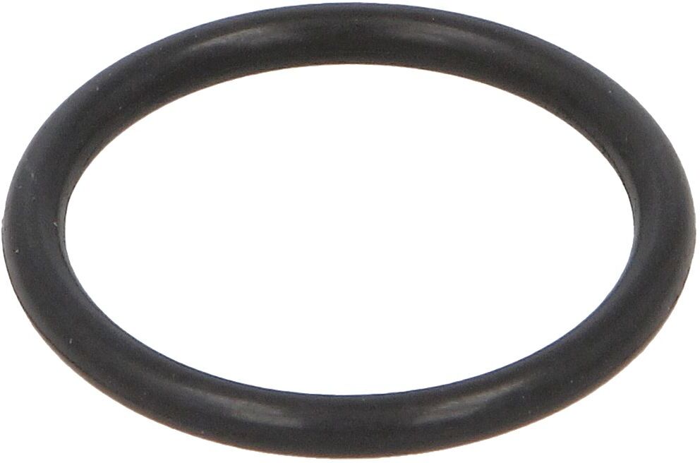 O-Ring, Getriebe MOTIVE MOTEQ32004050