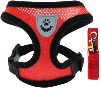 Uplift Treasures Breathable Summer Pet Harness And Leash Set red l