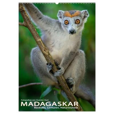 MADAGASKAR: Baobabs, Lemuren, Naturwunder (Wandkalender 2027 DIN A2 hoch), CALVENDO Monatskalender