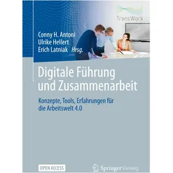 Digitale Führung und Zusammenarbeit, Fachbücher