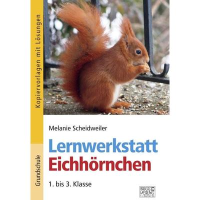 Lernwerkstatt Eichhörnchen, Taschenbuch von Melanie Scheidweiler, Brigg, 978-3-95660-351-8