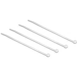 Delock 18605 Kabelbinder 100 mm 2.5 mm Transparent 100 St.