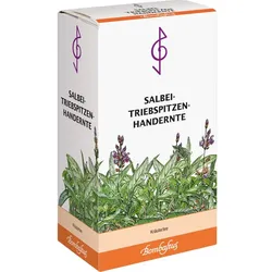 Salbei-Triebspitzen Handernte 25 G