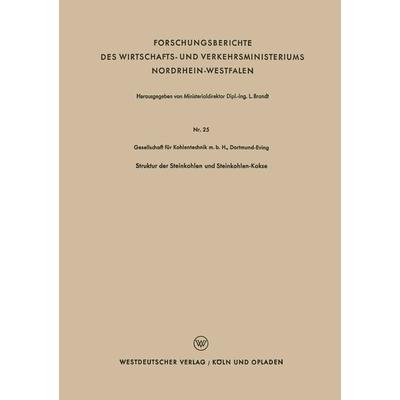 Struktur der Steinkohlen und Steinkohlen-Kokse, Taschenbuch von Kenneth A. Loparo, VS Verlag für Sozialwissenschaften, 978-3-663-03743-9