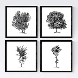 POSTER Set mit 4 Blättern der Baumstämme weißer Hintergrund 20x20cm Rahmenlos
