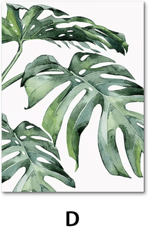 Uplift Curations Nordic Green Botanical Canvas Wall Art Monstera & Banana Leaf Minimalist Decor For Living Room & Bedroom d 7.9 11.8 Inches (no Frame)