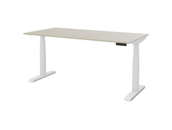 ASSMANN Kinderschreibtisch höhenverstellbar, Pitino, 160x80cm, TÜV-geprüft stufenlose, elektrische Höhenverstellung von 52-121 cm, für Kinder & Erwachsene, 5 Jahre Garantie, Eiche Polar/Weiß