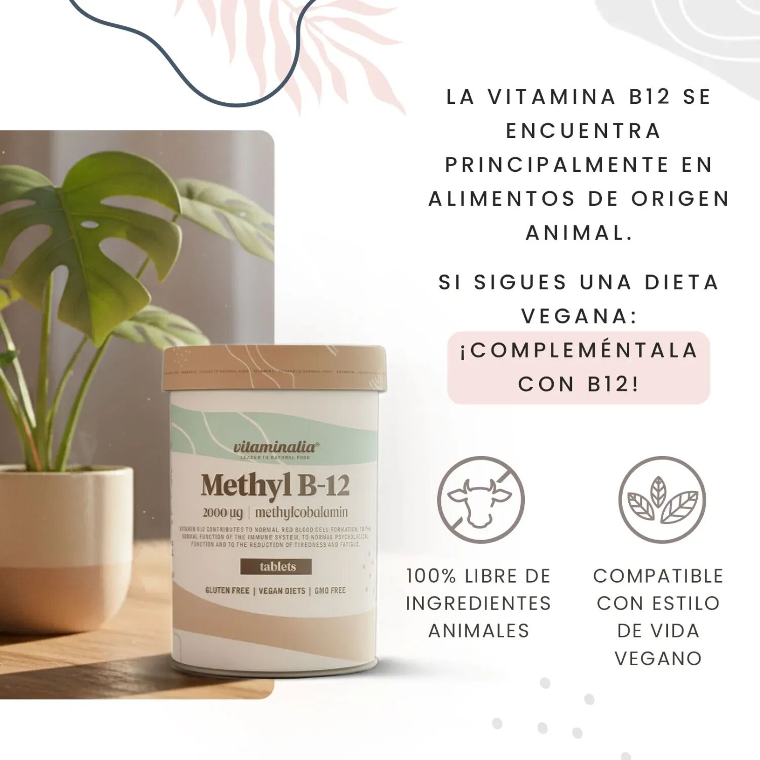 Vitaminalia Vitamina B12 (metilcobalamina) 2000mcg - 365 tabs - Circulación-Corazón - Tabletas - 365  Servicios