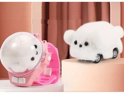 Smart Shopping Spot Mini Watch Car Parent Child Interaction, Remote Control Car Electric Alloy, Children's Watch Racing Toy Gift white Dog
