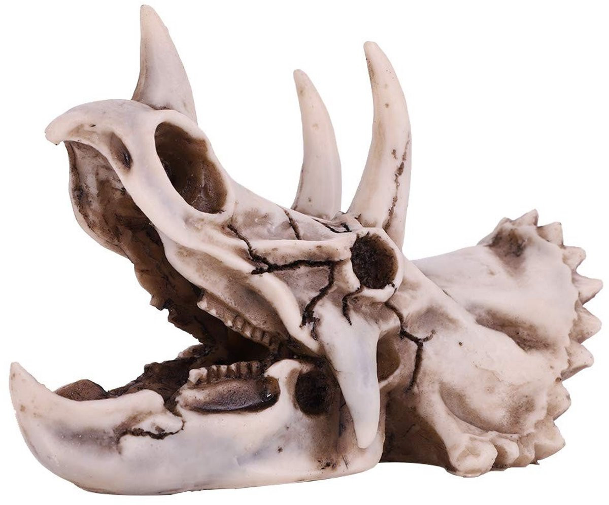 Merkloos Dinosaurusschedel Beeldje voor Decoratie