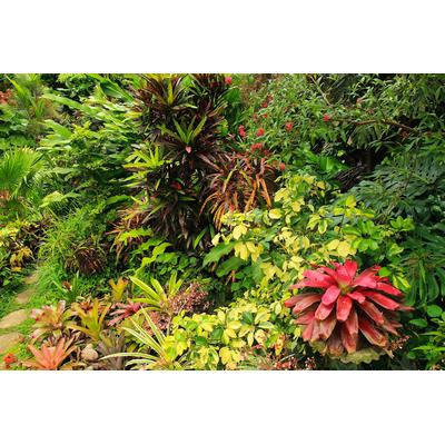 Fototapete PAPERMOON "GARTEN-BLUMEN BÄUME PFLANZEN PARK STEINE WALD BLÜTEN", bunt, B:3m L:2,23m, Vlies, Tapeten