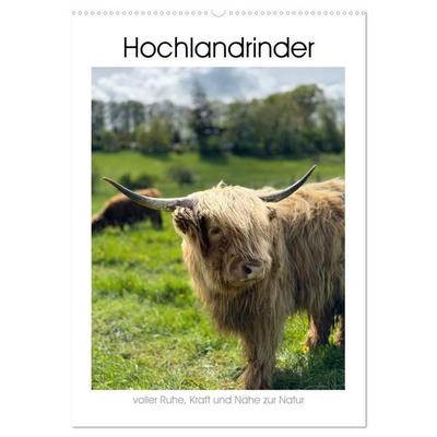 Hochlandrinder mit Herz und Charakter (Wandkalender 2027 DIN A2 hoch), CALVENDO Monatskalender