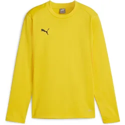 Puma, Jungen, Sportshirt, teamGOAL Training Sweat Jr (164), Gelb