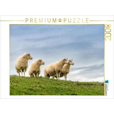 CALVENDO Puzzle Ein Motiv aus dem Kalender Naturerlebnis Rømø | 2000 Teile Lege-Größe 90x67cm Foto-Puzzle für glückliche Stunden