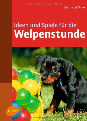 Celina del Amo - Ideen und Spiele für die Welpenstunde - Preis vom 15.10.2026 23:06:25 h
