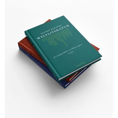 Weltliteratur, Set von Hanjo Kesting, Wallstein Erfolgstitel - Belletristik und Sachbuch, 978-3-8353-5876-8