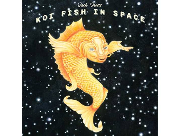 Koi Fish In Space