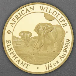 Goldmünze 1/4oz "Elefant" 2026 African Wildlife (Somalia)