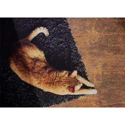 VINYL TEPPICH 140x210 cm Verrostetes Blech