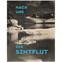 Nach uns die Sintflut, Sachbücher