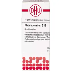 Rhododendron C12 10 G