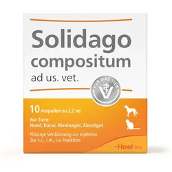 Solidago Compositum ad us.vet.Ampullen 10 St
