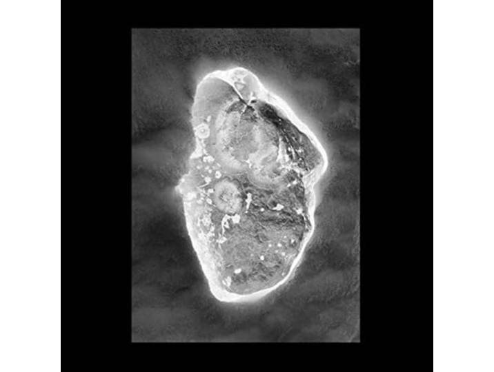 In Vitro -Ltd-