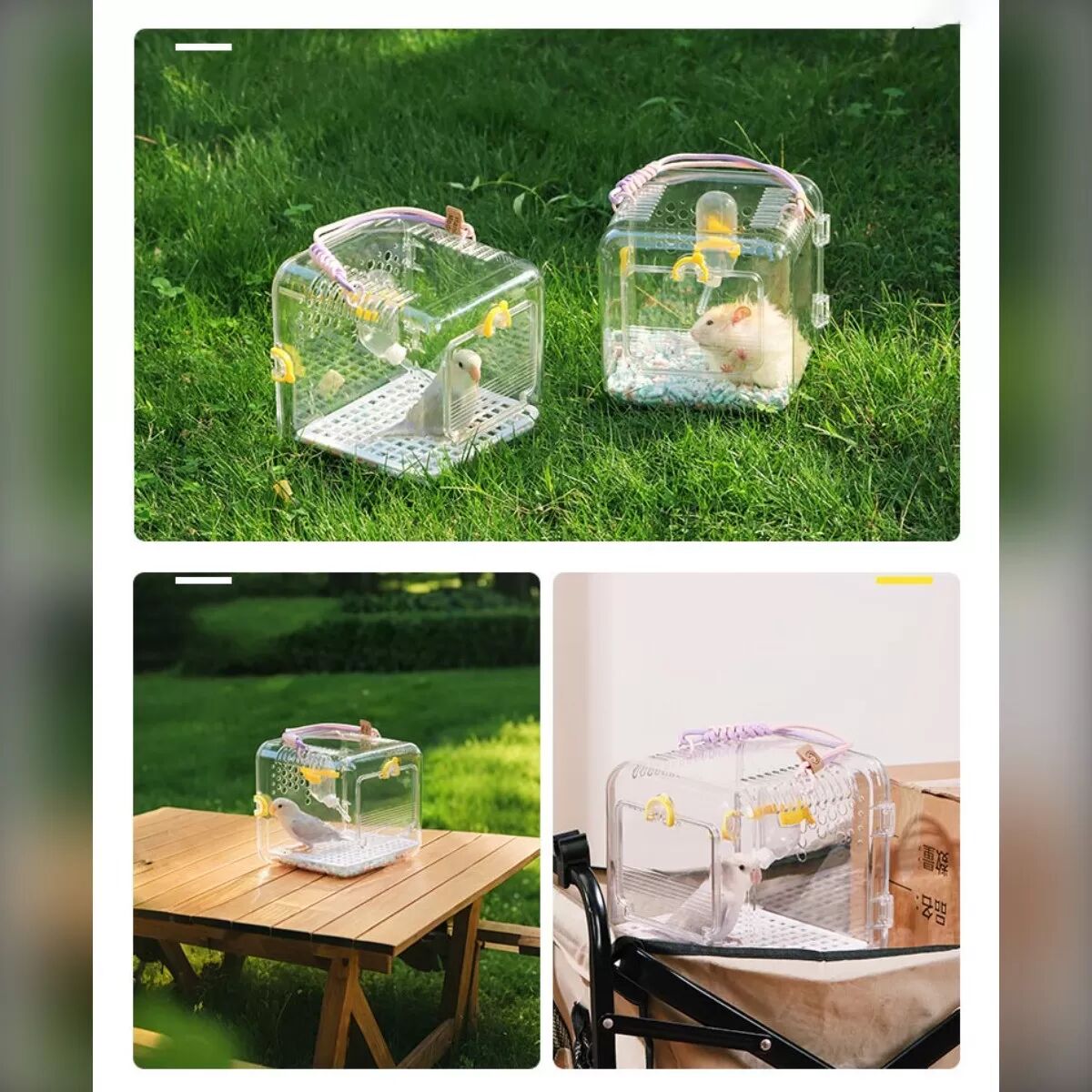 INF Tragbarer Vogelträger: Transparenter Papageien-Transportkäfig mit Bodenschale & Wasserflasche