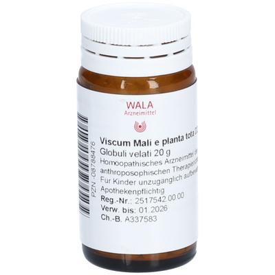 Viscum Mali e planta tota D 2 Globuli 20 g