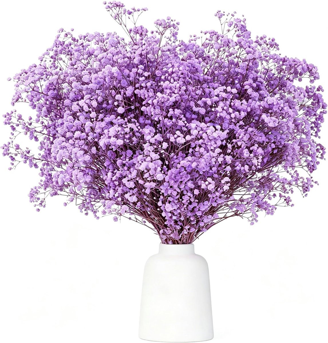 Natuurlijke paarse gedroogde gypsophila takken voor decoratie en bruiloften