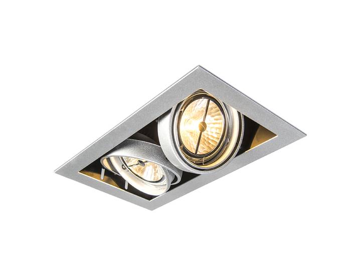 Spot encastré acier AR111 orientable 2 lumières - Oneon