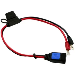 Victron Anschlusskabel mit M8 Ösenanschluss + 30A Sicherung für Blue Smart IP65