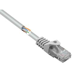 Renkforce RF-5043982 RJ45 Patchkabel CAT 5e U/UTP 2.00 m Grau mit Rastnasenschutz 1 St.