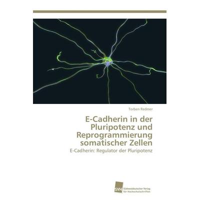 E-Cadherin in der Pluripotenz und Reprogrammierung somatischer Zellen, Taschenbuch von Torben Redmer, Südwestdeutscher Verlag für Hochschulschriften,