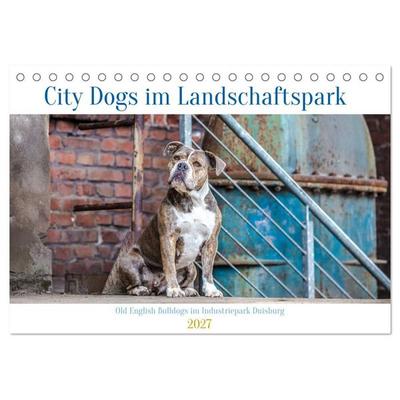 City Dogs im Landschaftspark (Tischkalender 2027 DIN A5 quer), CALVENDO Monatskalender