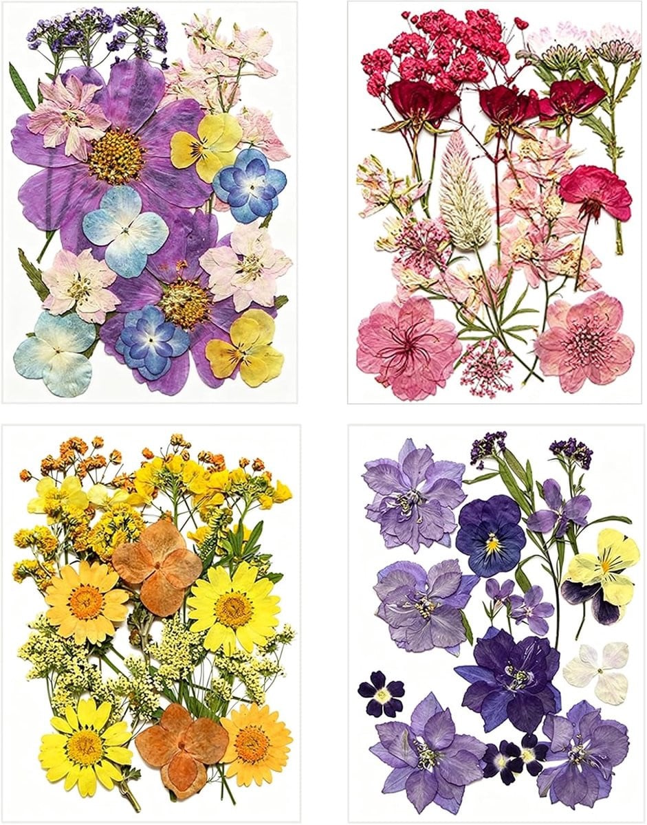 69 stuks kleurrijke gedroogde bloemen voor scrapbooking, handwerk en decoratie van kaarsen en hars