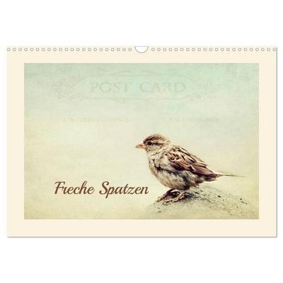 Freche Spatzen (Wandkalender 2026 DIN A3 quer), CALVENDO Monatskalender