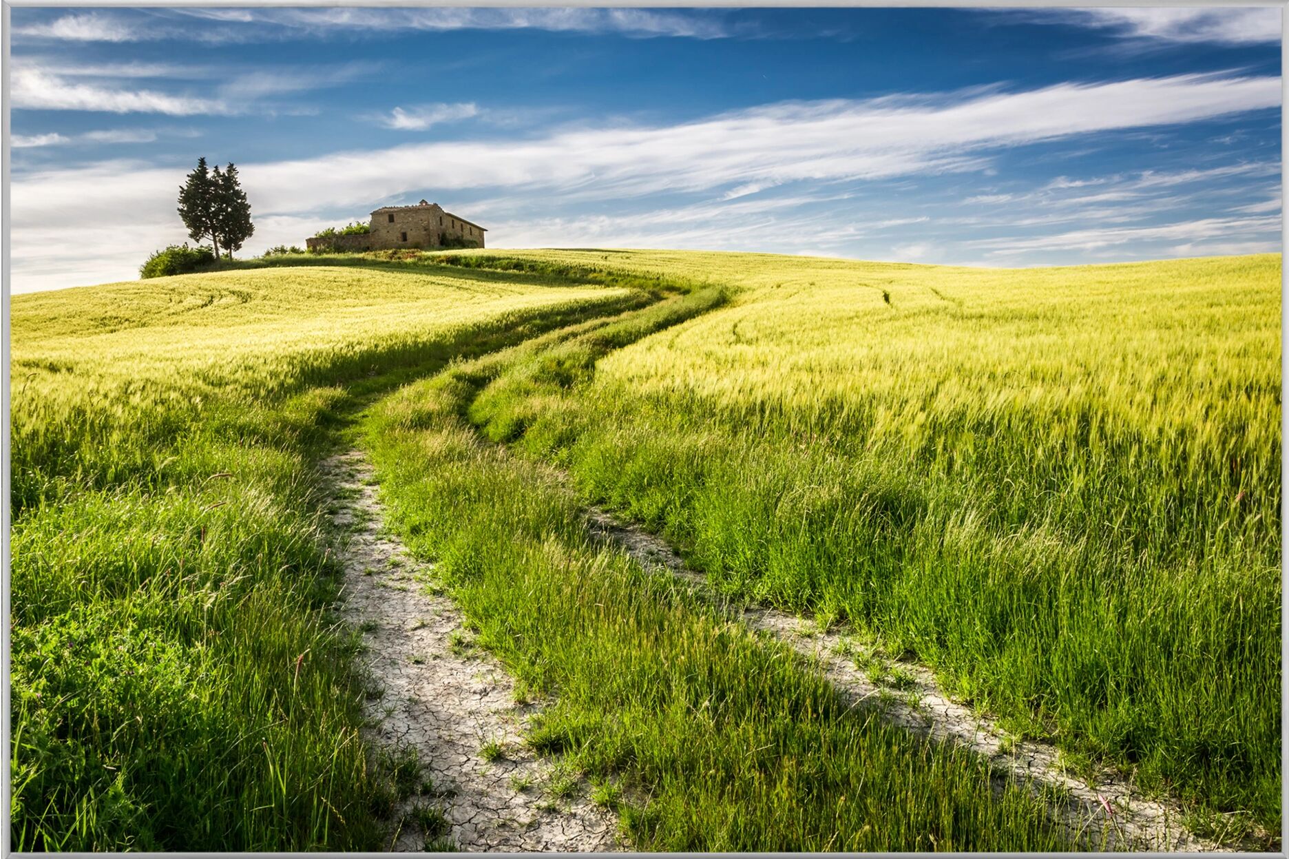 image LAND Feldweg