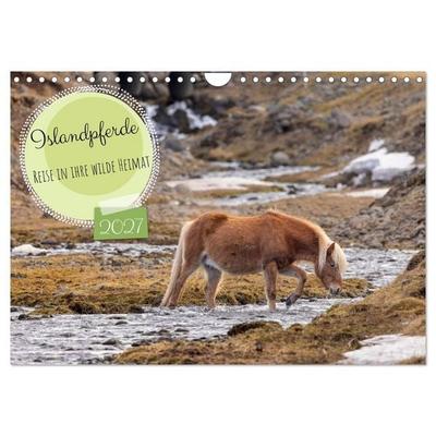 Islandpferde - Reise in ihre wilde Heimat (Wandkalender 2027 DIN A4 quer), CALVENDO Monatskalender
