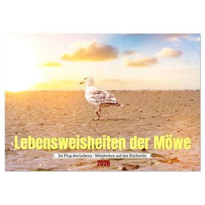 Lebensweisheiten der Möwe - Im Flug des Lebens (Tischkalender 2026 DIN A5 quer), CALVENDO Monatskalender