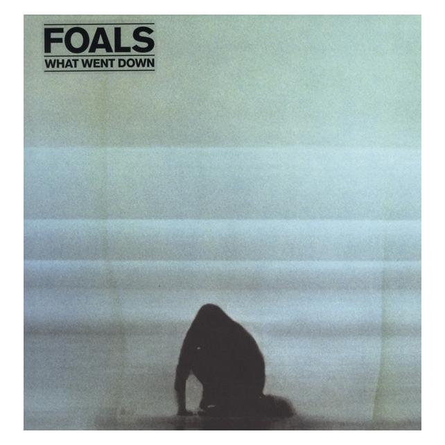 Warner Music What Went Down (Foals) (6860689)