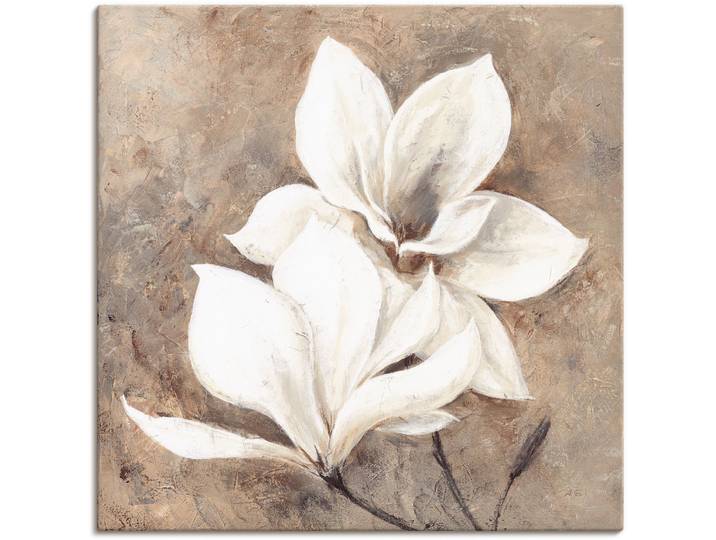 Leinwandbild ARTLAND Klassische Magnolien , beige (farbe bild(er): naturfarben), B:40cm H:40cm, Bilder, Leinwandbild, auf Holzrahmen gespannt