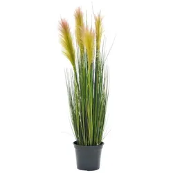 EUROPALMS Federgras, künstlich, rosé, 90cm