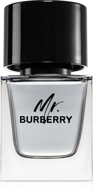 Burberry Mr. Burberry Eau de Toilette pour homme 50 ml